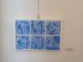 IMG-20250621-WA0022