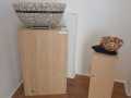 IMG-20250621-WA0023
